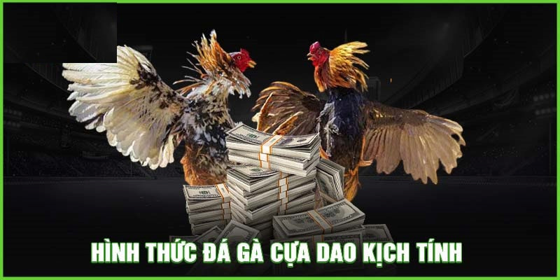 Đá gà cựa dao là siêu phẩm đặt cược tại nhà cái 69VN